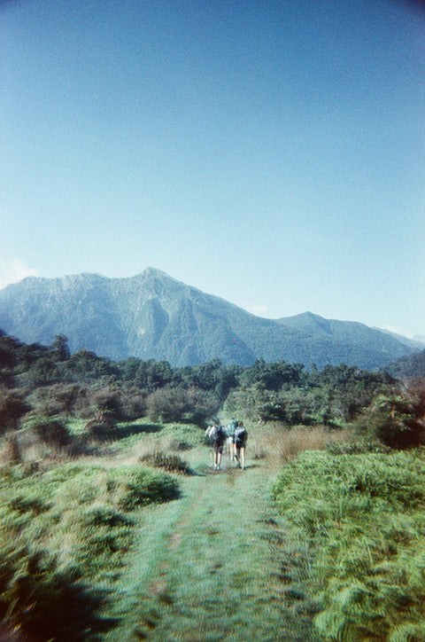 FRESH STOCK LANDING ON THE REGULAR