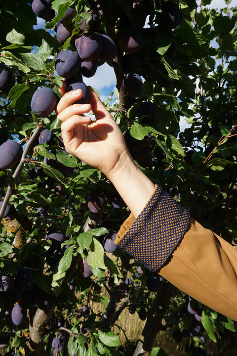 Hikerkind: Front Field Jacket 01 - Madrone